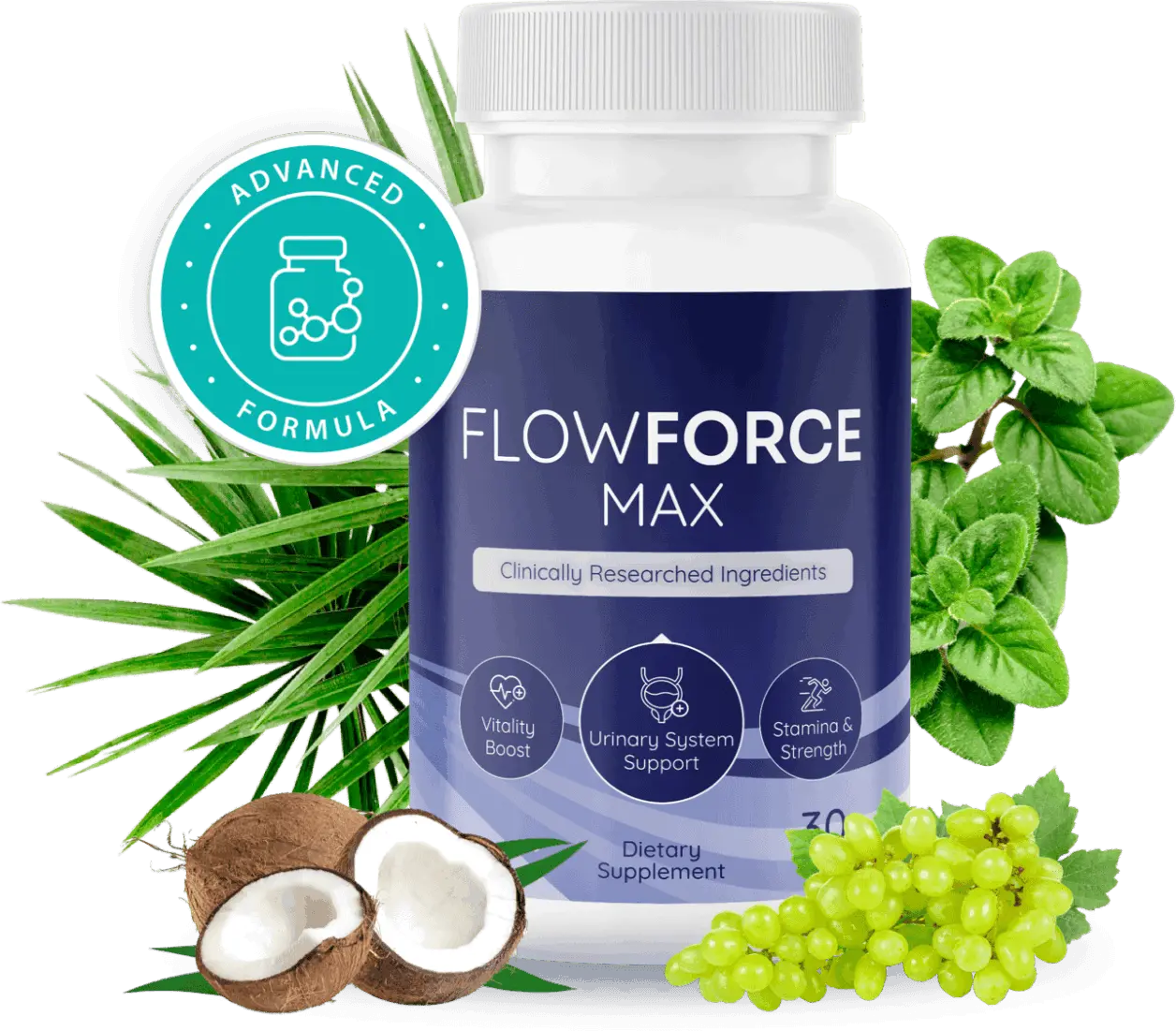 flow-force-max-supplement
